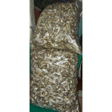 

Ikan Asin Putihan/kluntung