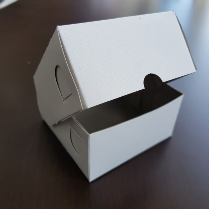 

DUS PUTIH TUTUP PENUH 10X10X5.5 10PCS