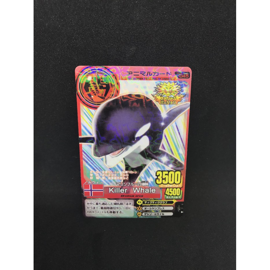 Kartu Animal Kaiser Versi Jepang Promotion Card Killer Whale (kw)