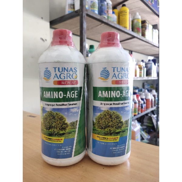 AMINO-AGE - ASAM AMINO - VITAMIN TANAMAN - TUNAS AGRO