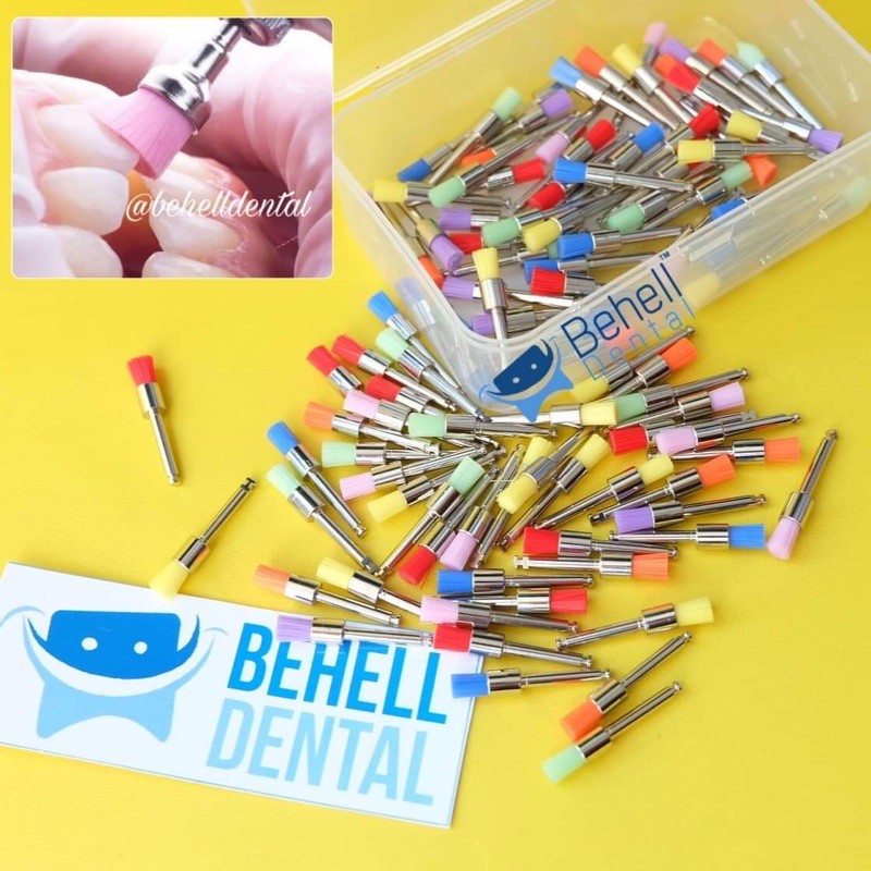 1pics DENTAL PROPHY LAXIS BRUSH POLES VENEER GIGI // Dental Prophylaxis Kuas Polishing Gigi Palsu atau Tiruan // Flat Nylon Untuk Pemoles Poles Bleaching Gigi // Setelah Scaling Scalling Warna Warni