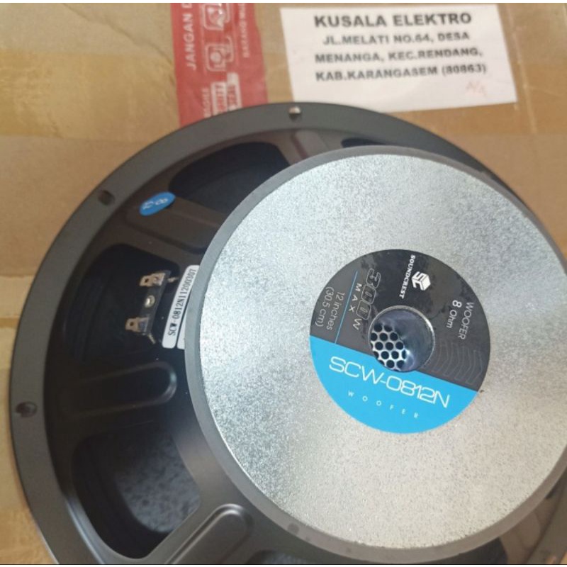 Speaker 12 Inch 300W