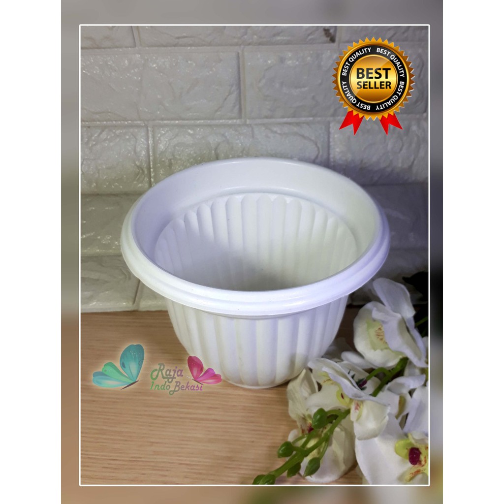 Pot Matahari 20 (18cm) Putih Pot Bunga Putih Vas Bunga Plastik Tanaman Hias Aglonema Bukan Pot Tawon