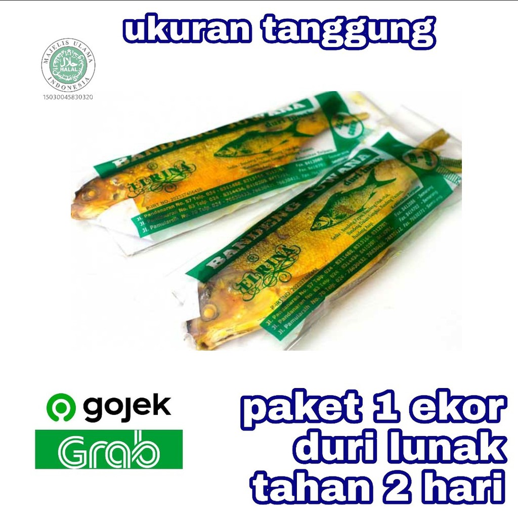 

Bandeng Presto Duri Lunak Juwana Elrina Oleh Oleh Khas Semarang 1 ekor ukuran tanggung