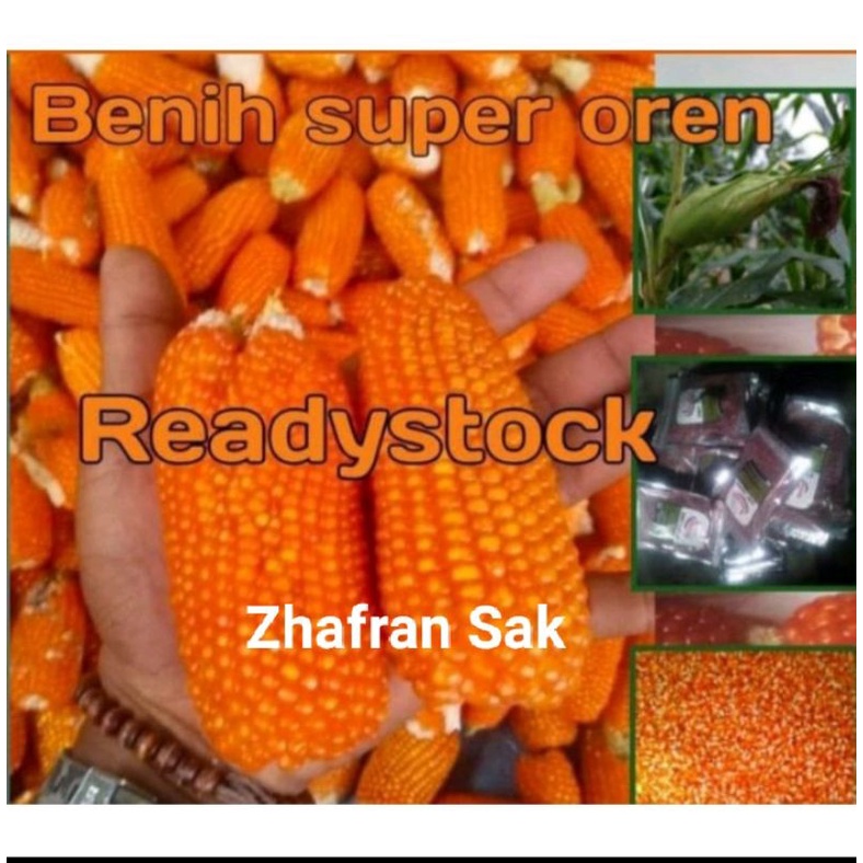 Benih Jagung Unyil/Kristal Super 1kg