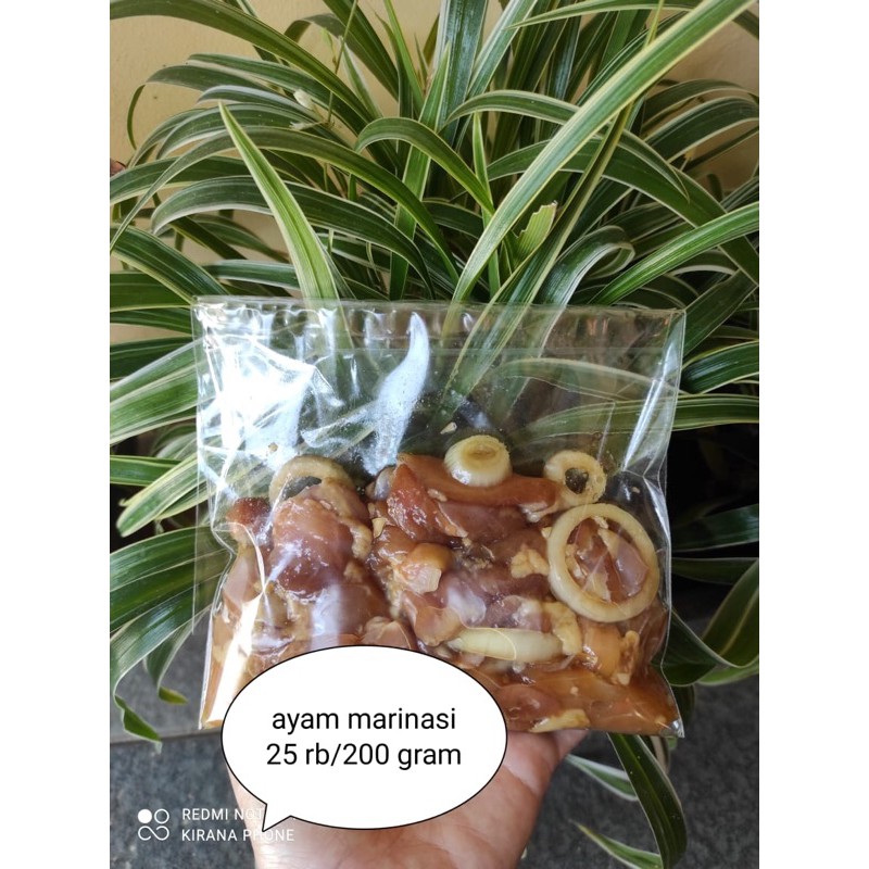 

marinasi ayam