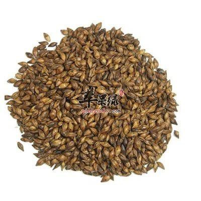 

100 G GR GRAM 炒谷芽 炒稻芽 CHAO GU YA DAO YA FRUCTUS ORYZAE SATIVAE GERMINATUS FRIED RICE MILLET SPROUT