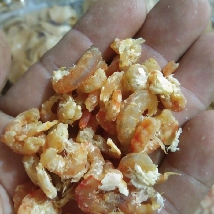 

Ebi daging /Udang Kering Pontianak 500gr high quality