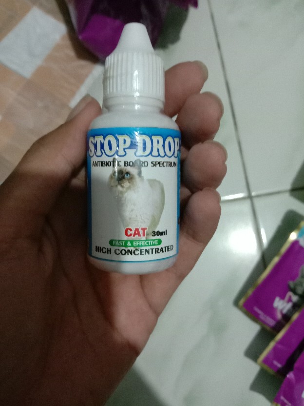 Antibiotik Obat Demam Dan Gejala Virus Pada Kucing Stop Drop