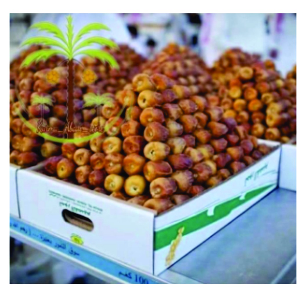 

KURMA SUKARI ORIGINAL 500 Gr/ SUKARI AL QASSAM MURAH / KURMA SUKARI AL QASSAM