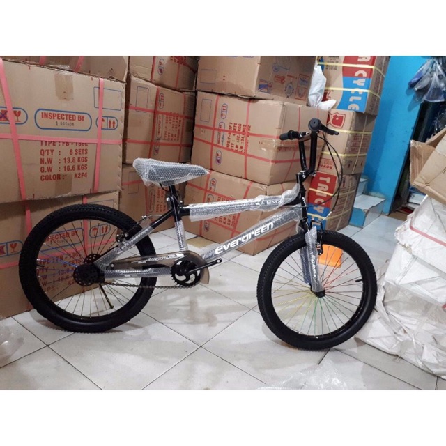 Sepeda Anak BMX 20 Evergreen