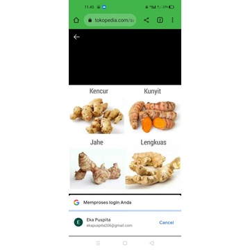 

kunyit,jahe,lengkuas,kencur