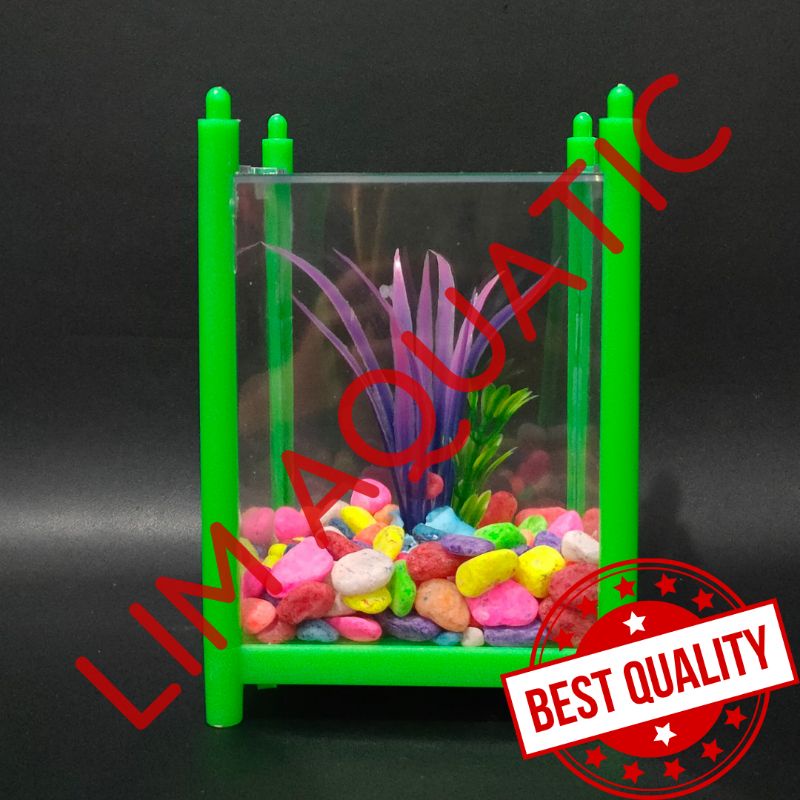 PAKET AQUARIUM CUPANG / PAKET HIASAN AQUARIUM CUPANG