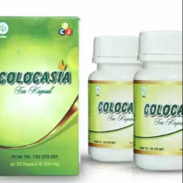COLOCASIA ASLI 100% ORIGINAL OBAT NYERI SENDI & TULANG OBAT COLOCASIA RESMI BPOM TERMURAH AMPUH AMAN