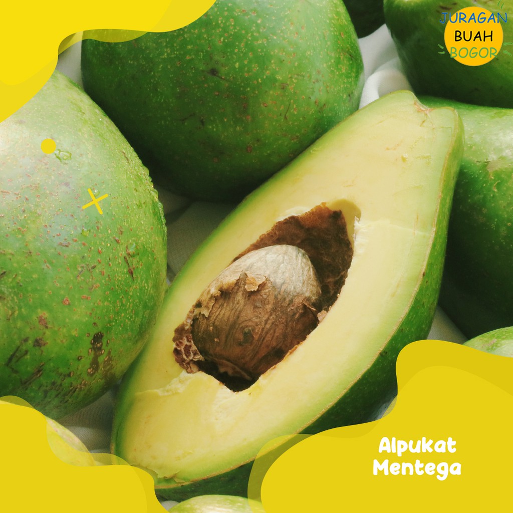 

ALPUKAT MENTEGA PREMIUM QUALITY | BUAH ALPUKAT MENTEGA PREMIUM QUALITY 1KG