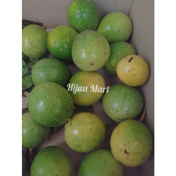 

buah markisa segar perkilo