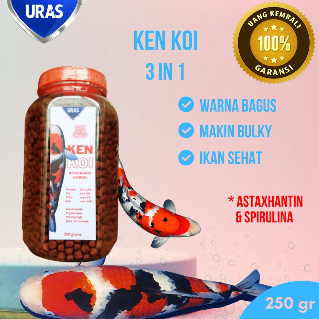 Pakan Pelet Ikan Koi with Carophyll &amp; Spirulina Blitar Slayer Kohaku Kumpay Import Grade A Murah