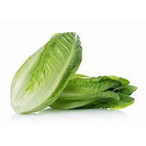 Romaine Lettuce 500gr/pack