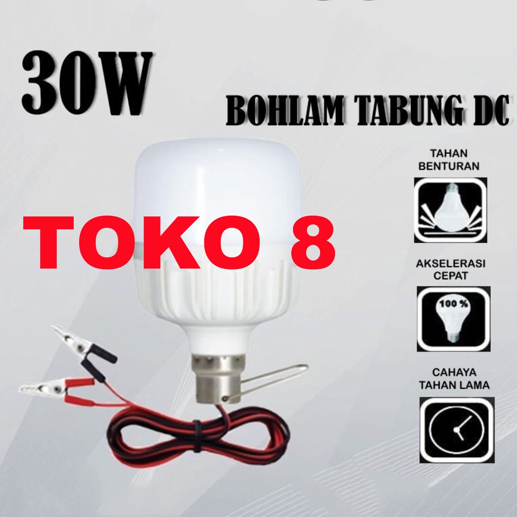 Lampu LED DC 30 watt Aki Solar Cell Panel Surya DC 12V Kabel Capit Bohlam Accu Emergency
