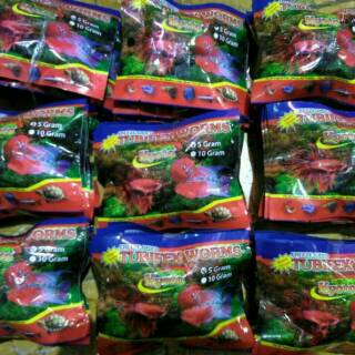  Makanan  ikan cacing  kering KYOTO 5gr Shopee Indonesia