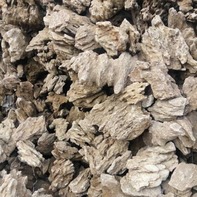 Batu Pasir Aquascape 1kg 1 kg Hardscape Hiasan Aquarium Sand Stone