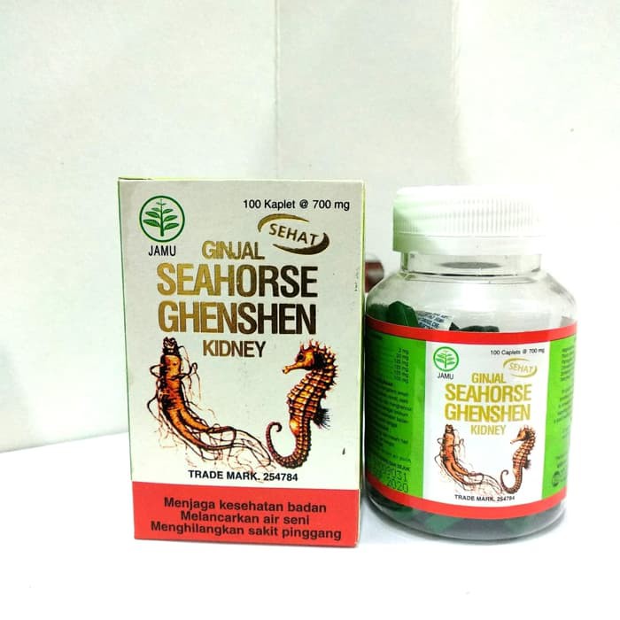 ginjal seahorse ghenshen kidney