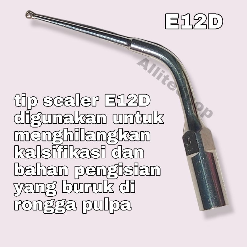 tip scaler E12D EMS woodpecker
