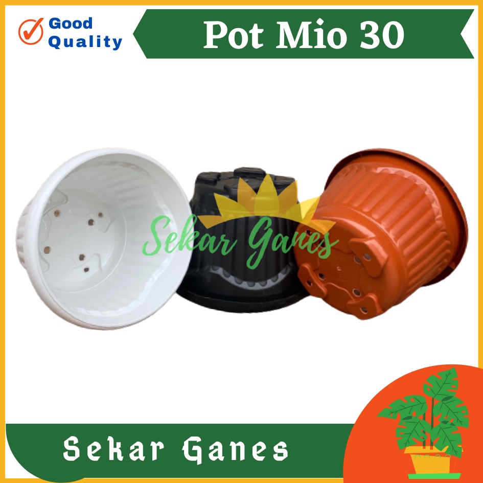 PROMO TERMURAH POT SHALLOM MIO 30 pot bunga bulat besar tebal murah pot bunga pot tanaman pot murah