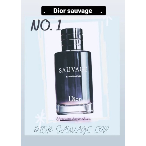 SAUVAGE DIOR ORIGINAL RIJEK