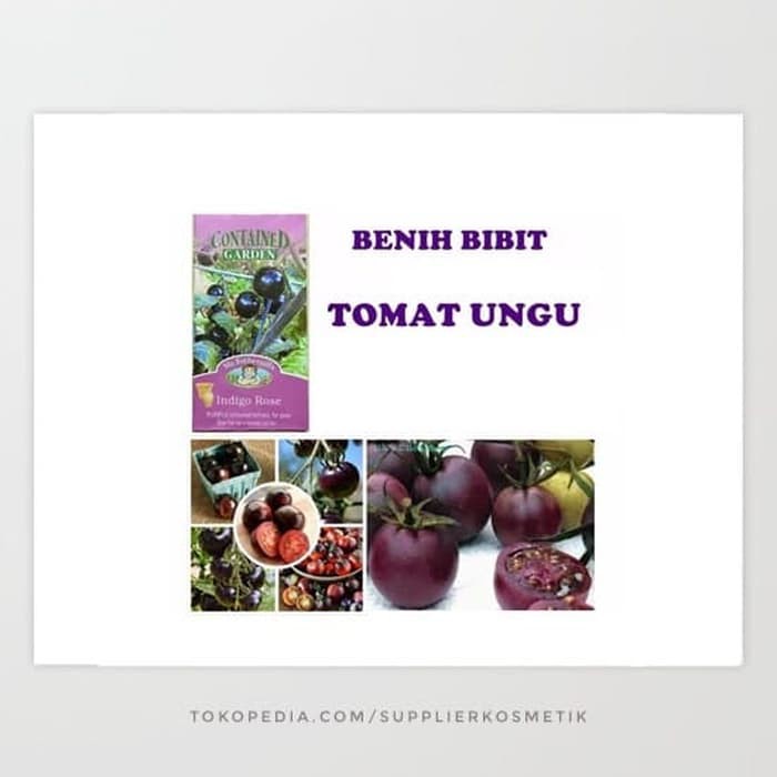 

dijual murah Bibit / Benih TOMAT UNGU / indigo rose tomato IMPORT promo