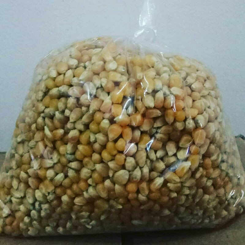 

Jagung Popcorn (1kg)