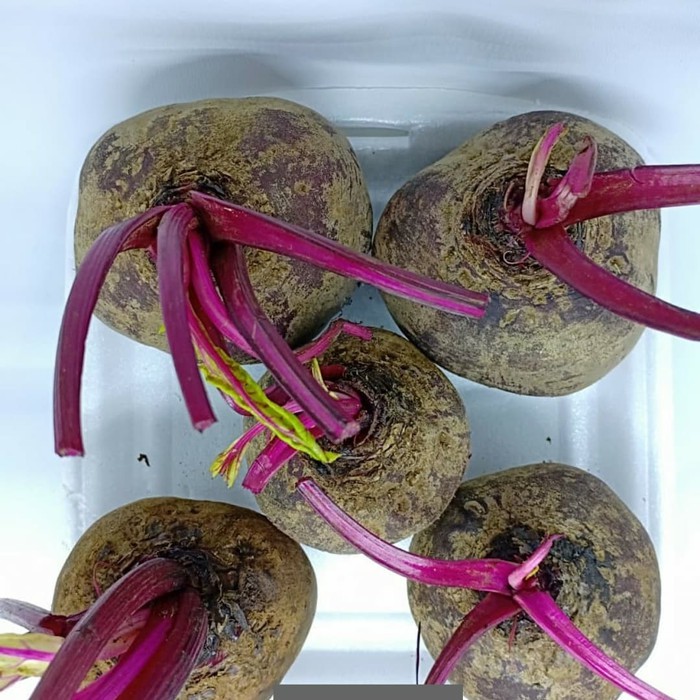 

Buah Bit Merah/Beet Root