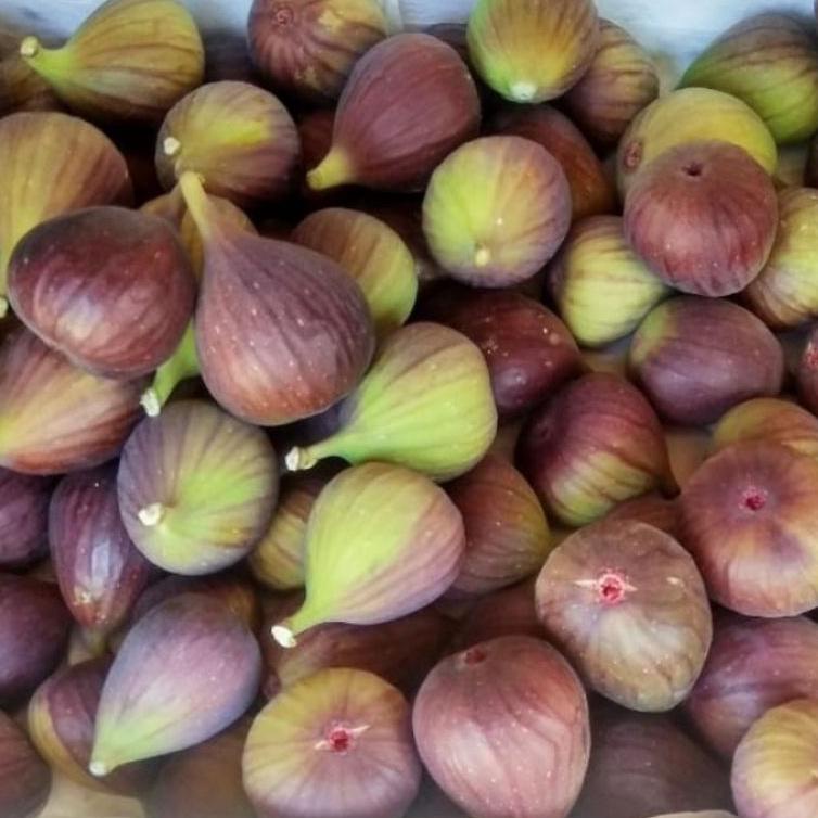 

6PH Buah Tin, Ara, Fig Fresh Grade B 200grm.➘☂ (Bayar Di Tempat)Laris ➘