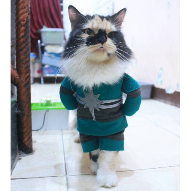 Kostum kapten marvel original model untuk kucing dan anjing / baju kucing murah size S M L XL