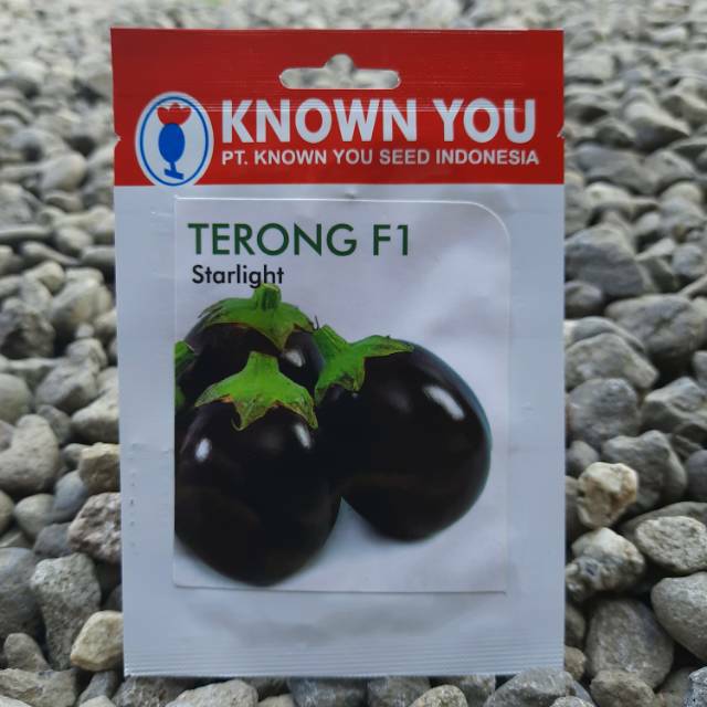 TERONG BULAT-Benih Bibit Biji Terung bulat STARLIGHT F1 (95btr)