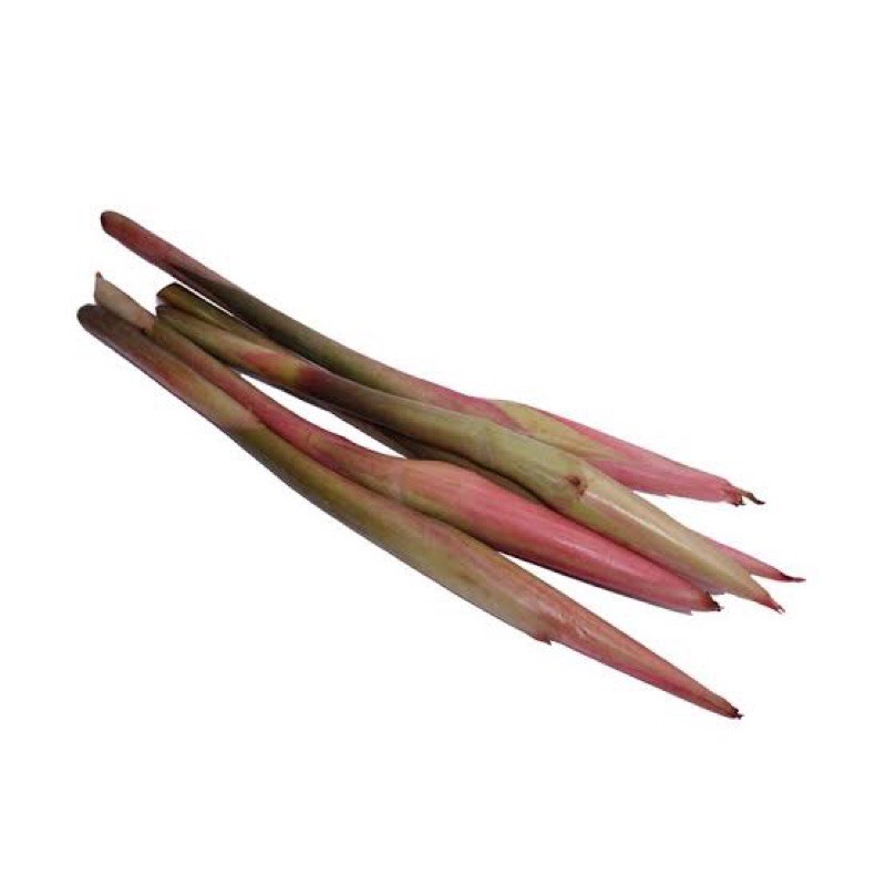 

Kecombrang Organik 250g