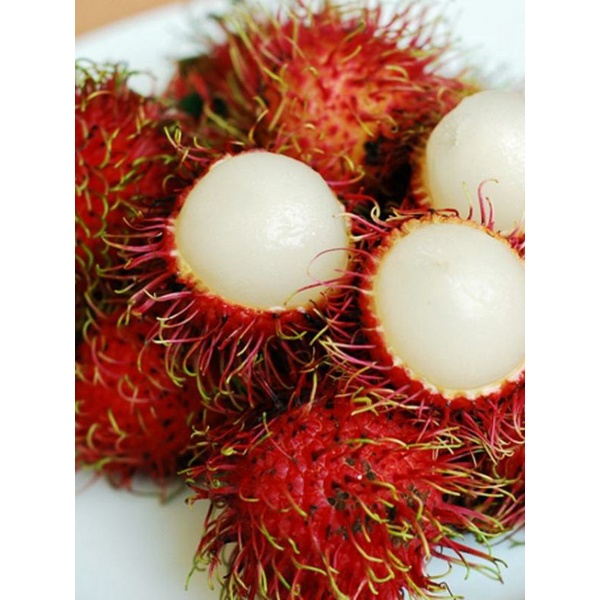 

Buah Rambutan / Ace Fresh dan Segar / Belanja Buah Di Semarang