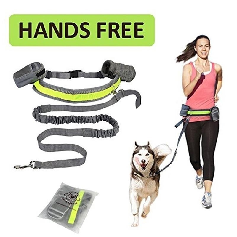 hands free dog walking belt
