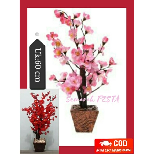 Pohon sakura/pohon mehwa/pohon imlek/bunga pohon sakura/bunga sakura
