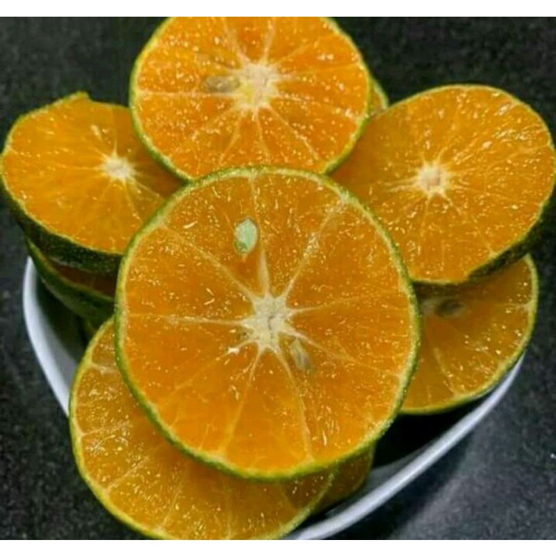 jeruk Siam peras Semboro Jember