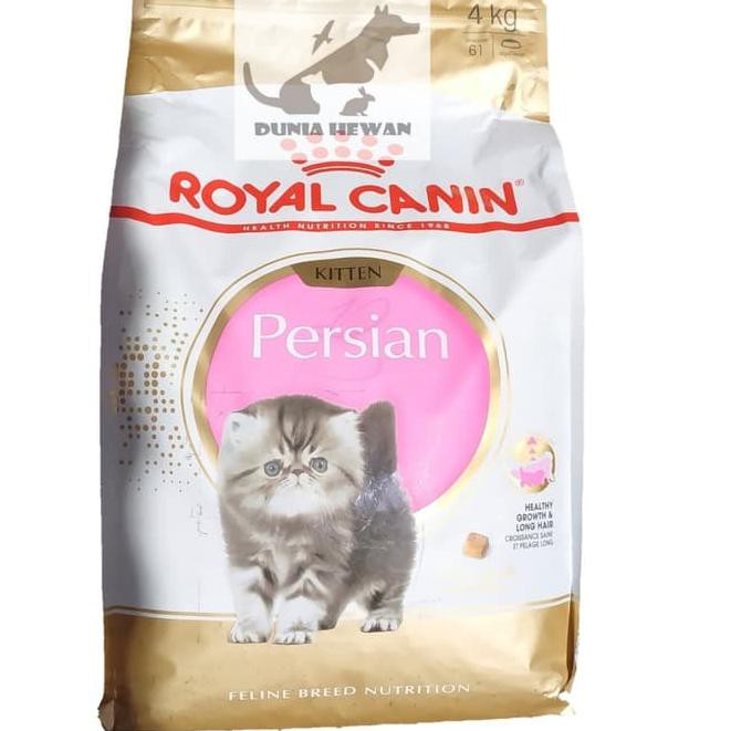 Makanan Kucing Persia Usia 5 Bulan