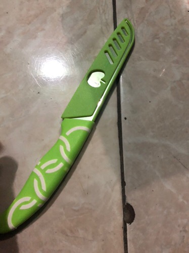Pisau Buah Stainless Pisau Apel Pisau Sayuran