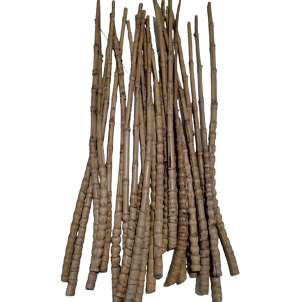 Bambu Cendani Gagang Joran Pancing ukuran kecil