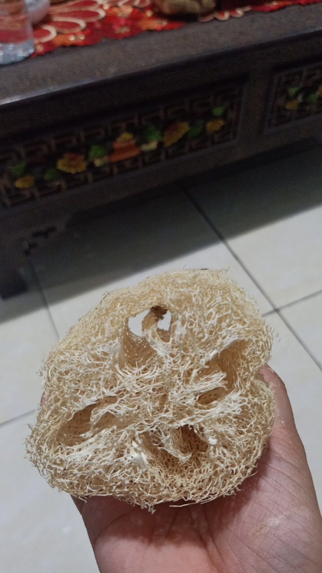 Loofah Puff Mandi Alami Premium Quality + Tali Medium Size