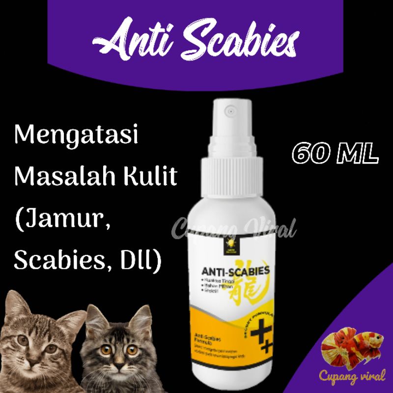 ANTI SCABIES - Obat Jamur Kucing Scabies 60 ML CLEVER SOLUTION