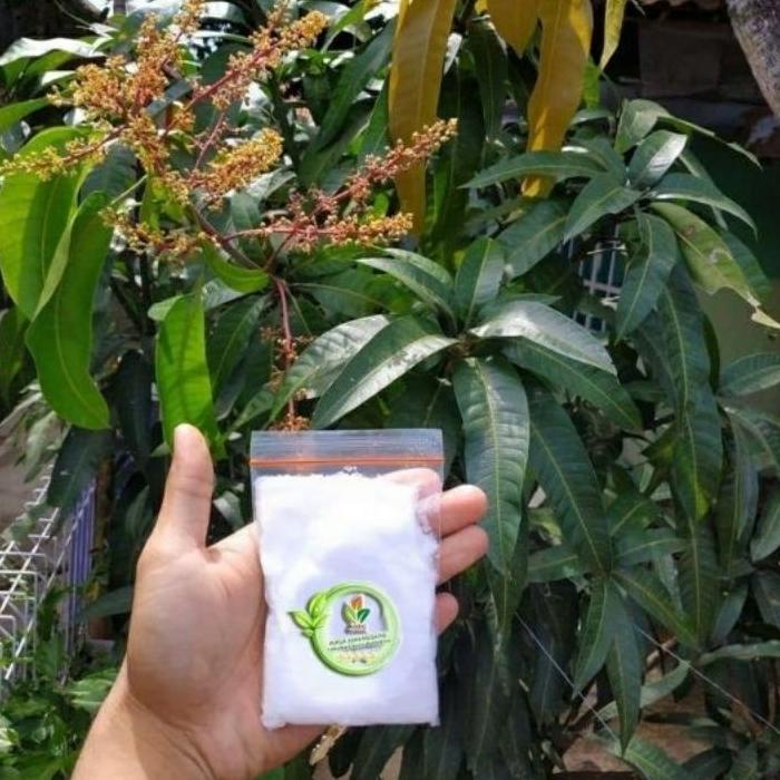 Terbatas Pupuk agro/pupuk agro bibit/grosir pupuk agro bibit/pupuk pelebat buah/pupuk pembungaan/pup