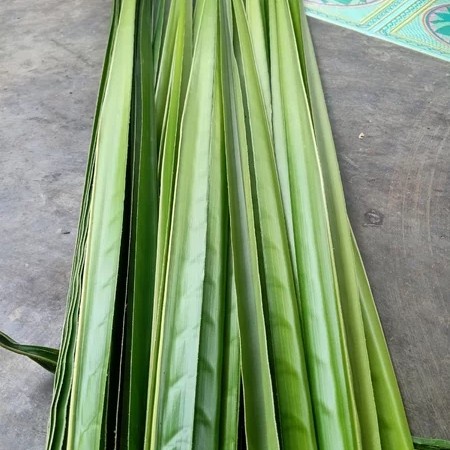 

New kulit ketupat/janur daun kelapa ready