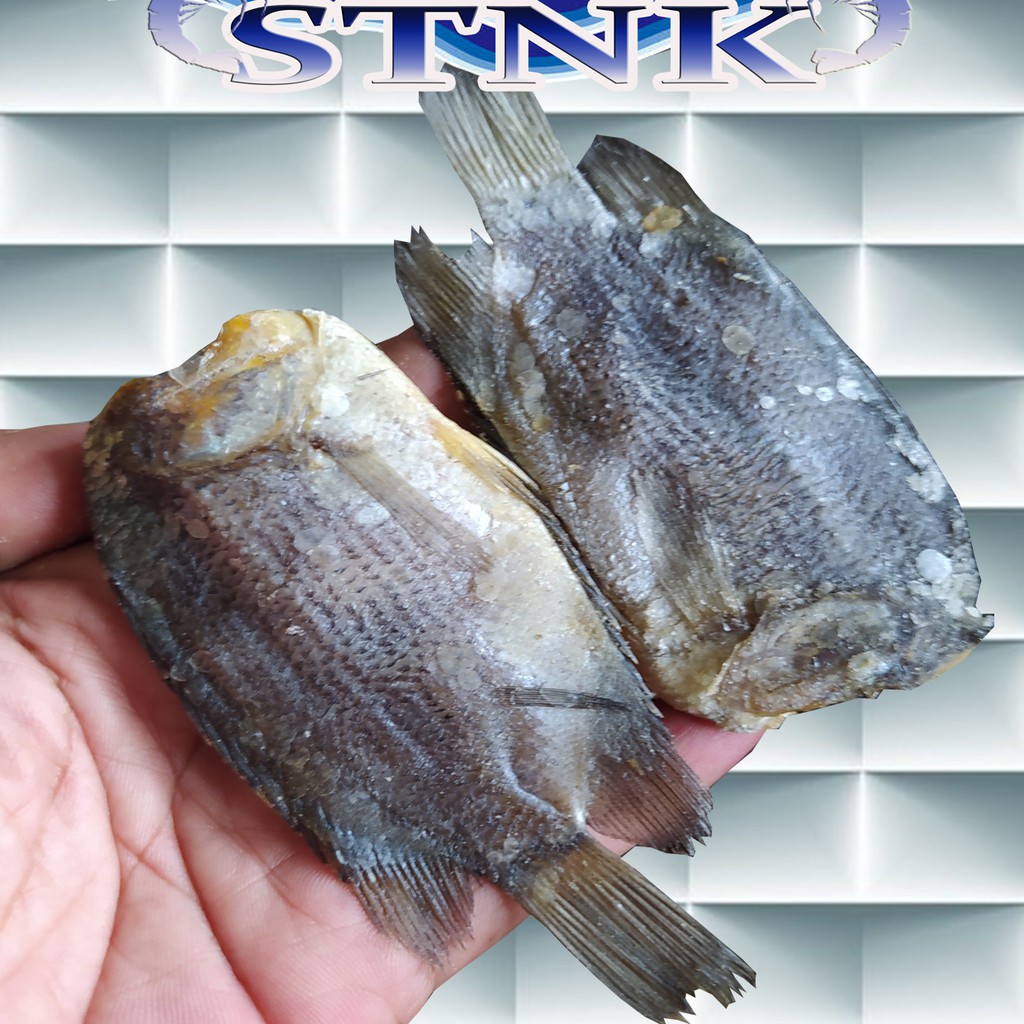 

Ikan Asin Sepat Besar/Ikan Asin Sepat Tembakang 500 Gram Murah Enak Mantab