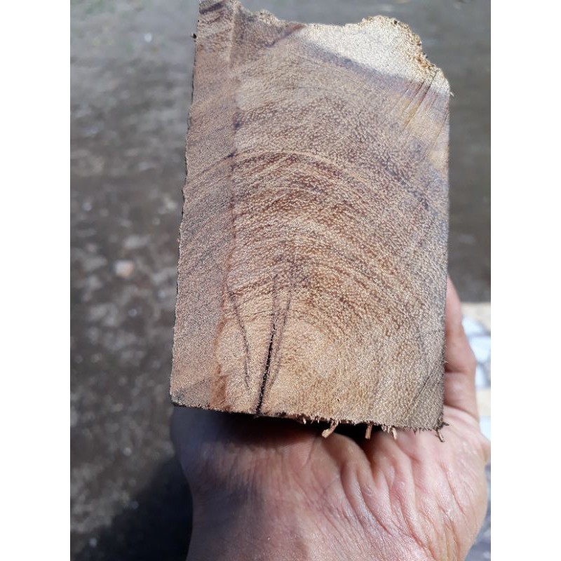 bahan kayu galih kelor berserat emas