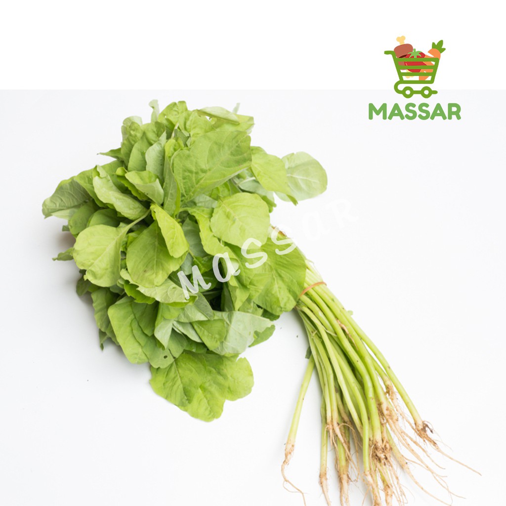

SAYUR BAYAM PER IKAT